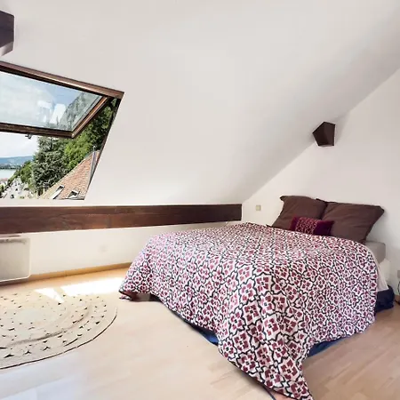 Duplex Face Au D'annecy * Veyrier-du-Lac